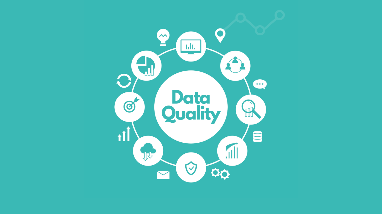 Data Quality Tools